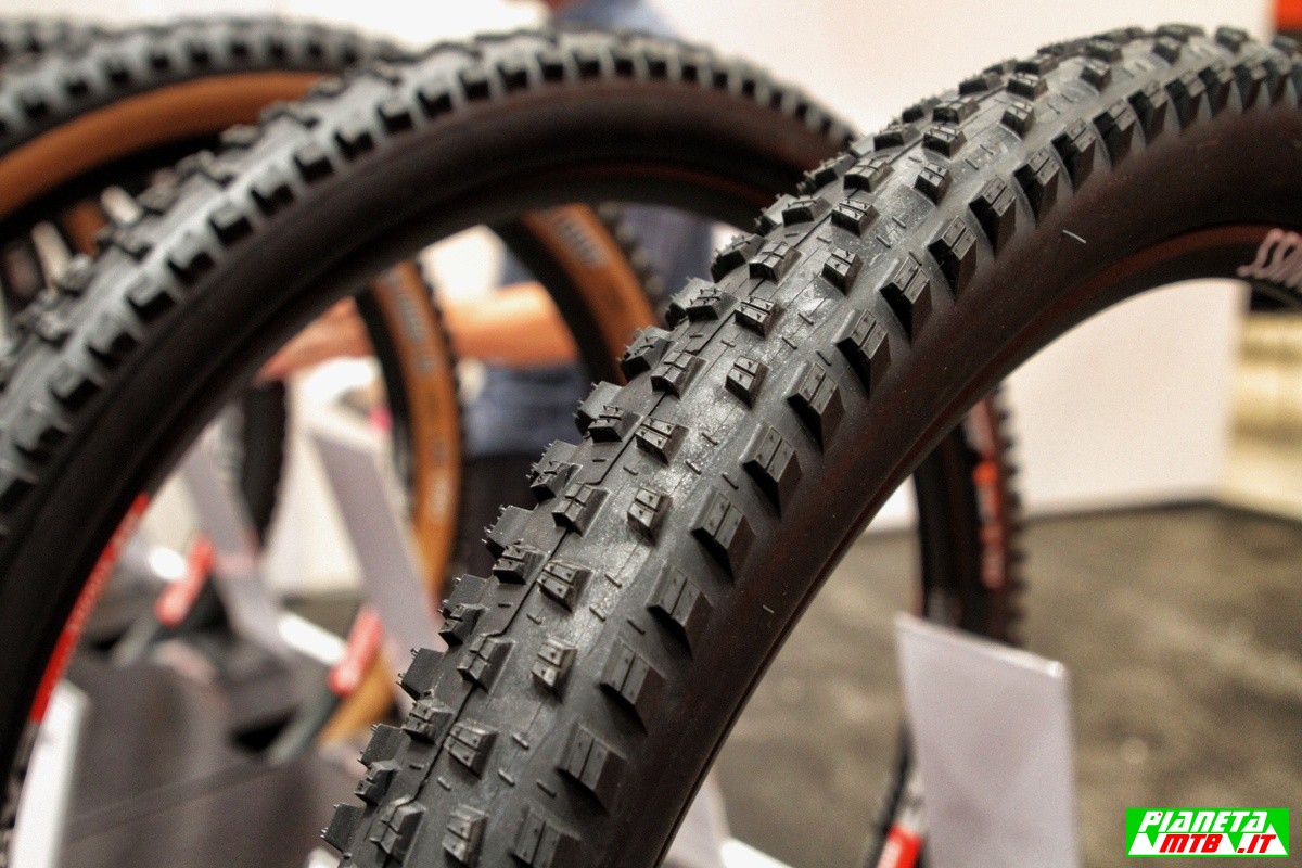 nuovo maxxis forekaster
